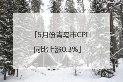 5月份青岛市CPI同比上涨0.3%