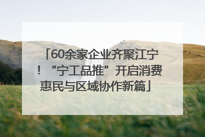 60余家企业齐聚江宁！“宁工品推”开启消费惠民与区域协作新篇