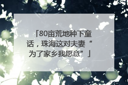 80亩荒地种下童话,珠海这对夫妻“为了家乡我愿意”