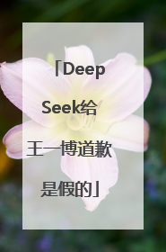 DeepSeek给王一博道歉是假的
