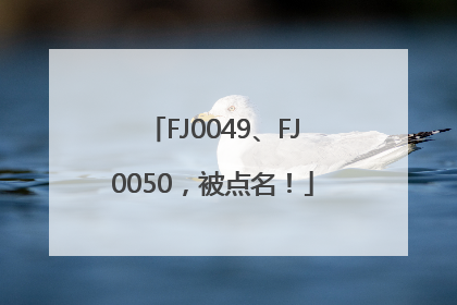 FJ0049、FJ0050，被点名！